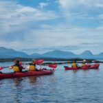 Molde - Guided kayak tour - The Value of This Experience