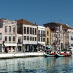 Moliceiro Boat Tour on the Ria de Aveiro - Who Should Consider This Tour?