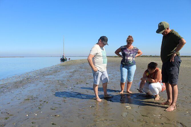 Moliceiro boat trip, with experience in bivalves harvesting - Final Thoughts