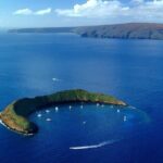 Molokini and Turtle Town Snorkeling Adventure Aboard the Malolo - Who is This Tour Perfect For?