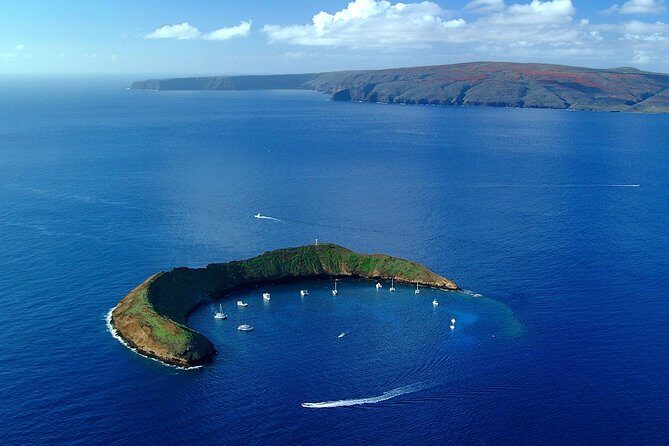 Molokini Snorkeling Adventure Aboard Calypso From Ma'alaea Harbor - The Food and Beverages
