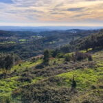 Monchique: Highlights Tour - A Deep Dive into the Itinerary