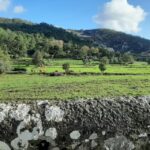 Monchique & Silves: guided day trip - What Makes This Tour Stand Out?