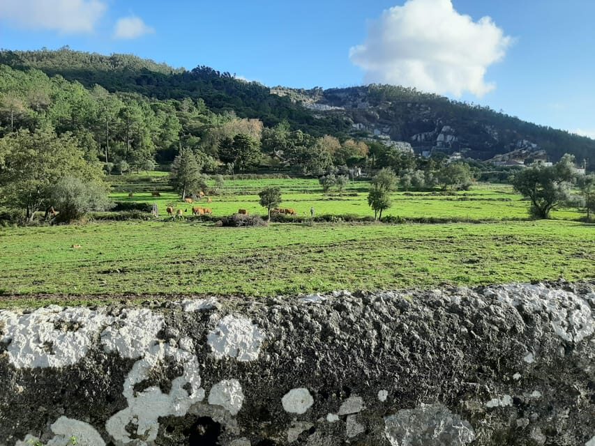 Monchique & Silves: guided day trip - What Makes This Tour Stand Out?