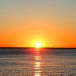 Monday & Thursday Nights Harbor Lights Tiki Tour - A Closer Look at the Experience