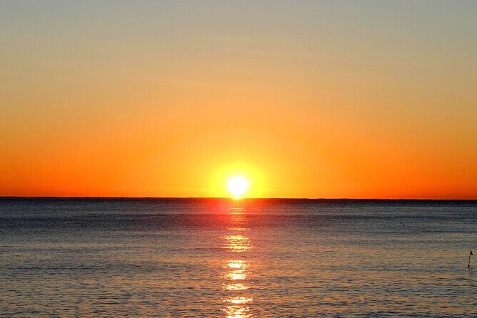 Monday & Thursday Nights Harbor Lights Tiki Tour - A Closer Look at the Experience