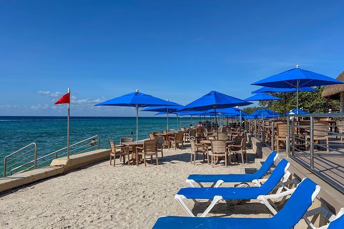 Money Bar Day Pass with Snorkel & Mexican Lunch - The Practical Side: What To Expect