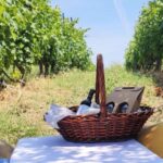 Monferrato: Garetto Wine Estate Tour and Picnic Private - Practical Details and Value