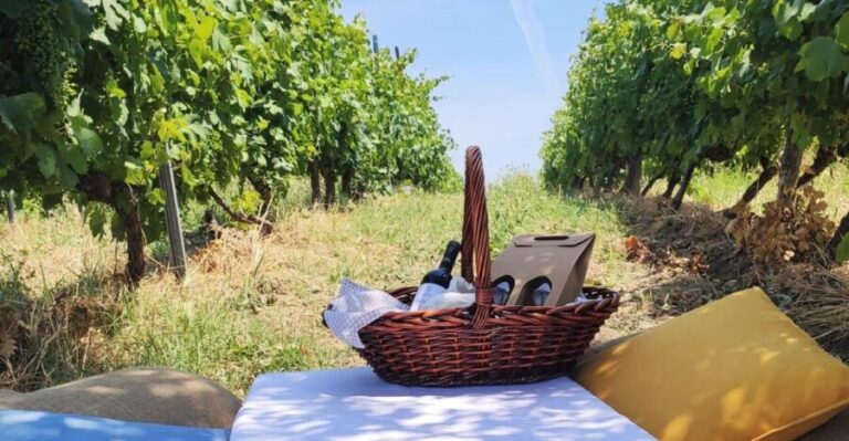 Monferrato: Garetto Wine Estate Tour and Picnic Private - Practical Details and Value