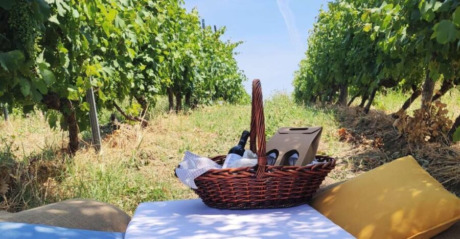 Monferrato: Garetto Wine Estate Tour and Picnic Private - Practical Details and Value