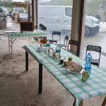 Monferrato: Honey and Mead Tasting Experience - Is It Worth It?