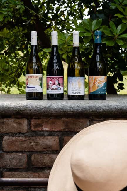 Monferrato: Tour the Winery and Enjoy a Tasting - Practical Details: What You Need to Know