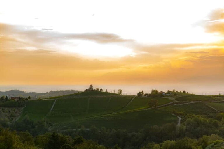 Monforte d'Alba: Picnic & Big Benches - The Experience in Detail: A Closer Look