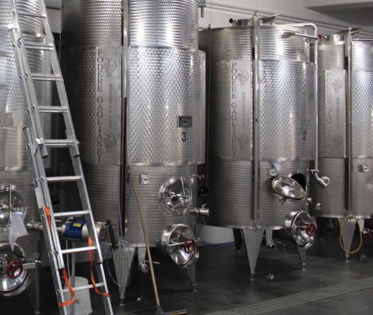 Monforte d'Alba: Wine Tasting, Cellar Visit, and Vineyard Tour - What’s Included and What’s Not