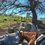 Mongrando: Horseback Ride with Lunch or Dinner - Who Is This Experience Best For?