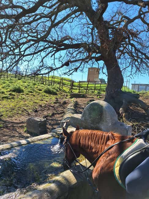 Mongrando: Horseback Ride with Lunch or Dinner - Who Is This Experience Best For?