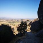 Monsanto: Guided Tour - What’s Included and How It Works