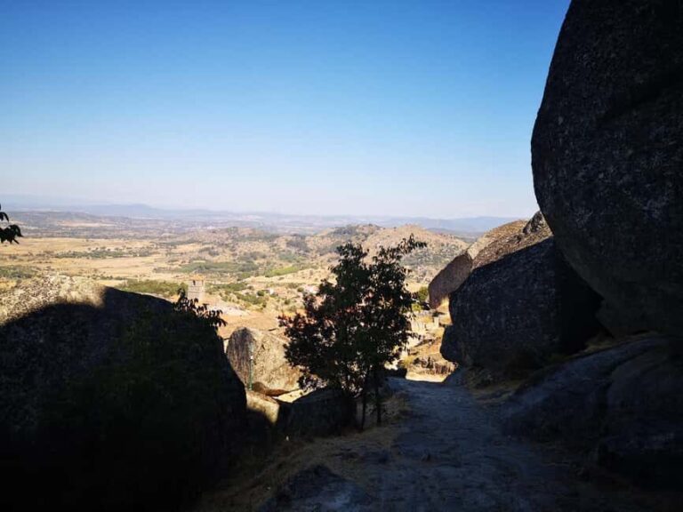 Monsanto: Guided Tour - What’s Included and How It Works