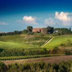 Montalcino: Brunello Wine Tasting Experience - Areas for Improvement