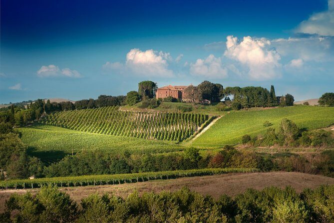 Montalcino: Brunello Wine Tasting Experience - Areas for Improvement
