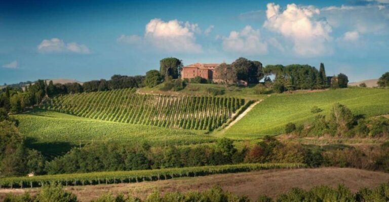Montalcino: Brunello Wine Tasting Experience - The Guided Wine Tasting