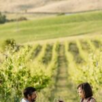 Montalcino: exclusive picnic in the vineyard with wine basket - Final Thoughts