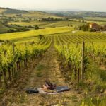 Montalcino: exclusive vineyard picnic with wine - What to Expect on the Day