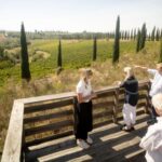 Montalcino: Guided Winery Tour and Wine Tasting - Wine Tasting: The Heart of the Tour