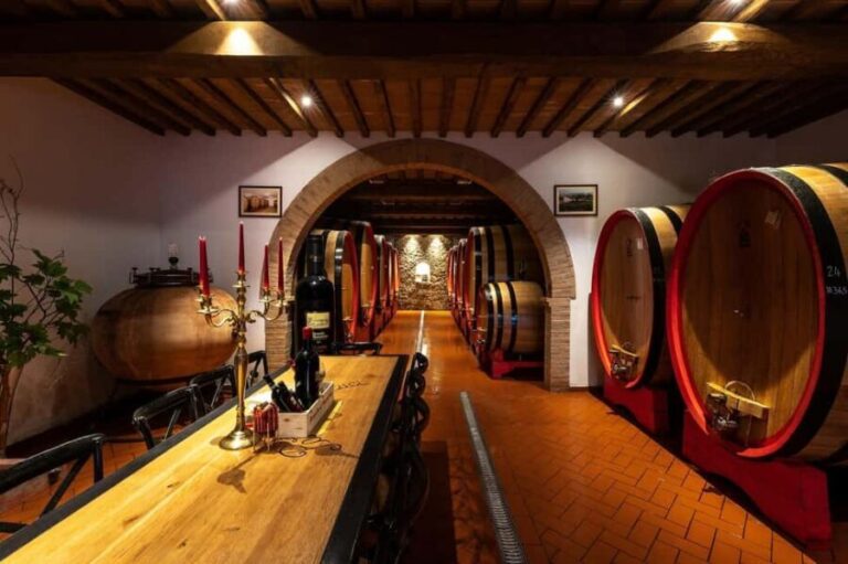 Montalcino: Premium Wine Tasting with light-lunch and Tour - What to Expect from the Tour