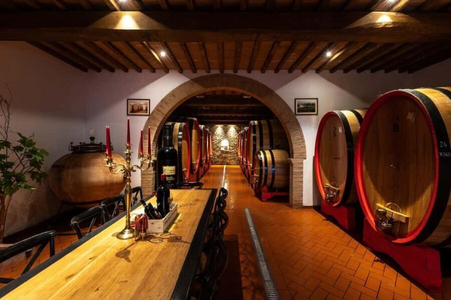 Montalcino: Premium Wine Tasting with light-lunch and Tour - What to Expect from the Tour