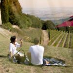 Montalcino: Vineyard Picnic with a Bottle of Wine - The Price and Value