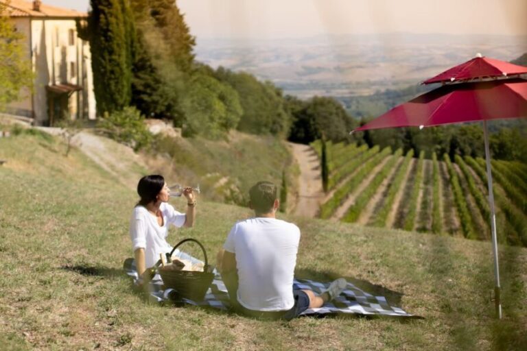 Montalcino: Vineyard Picnic with a Bottle of Wine - The Price and Value