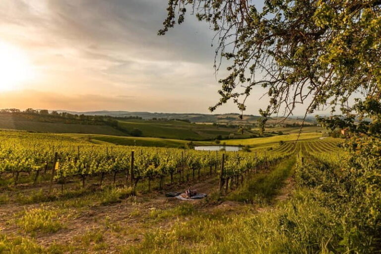 Montalcino: Vineyard Picnic with Rosso di Montalcino Wine - Who Will Love This Experience?