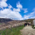Monte Baldo: Organic Mountain Wines Tour and Tasting - Final Thoughts: Is It Worth It?