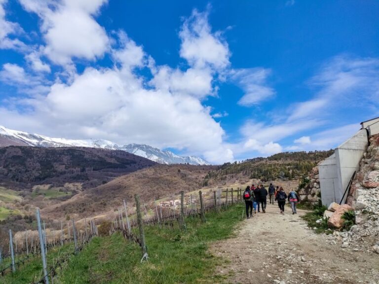 Monte Baldo: Organic Mountain Wines Tour and Tasting - Final Thoughts: Is It Worth It?