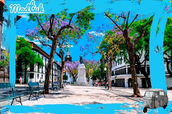 Monte Tobbogans + Old Town Tuk-Tuk Private Tour by MadTuk - The Practical Side: Timing and Logistics