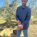 Montecatini Alto: Gourmet picnic among olive trees with EVO oil pairing - What Is This Tour All About?