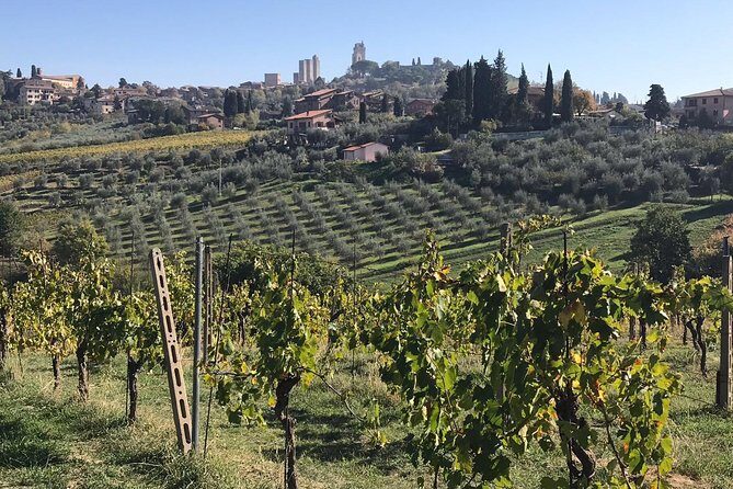 Montecatini Private Day Trip To Chianti & San Gimignano - Greve in Chianti: The Charming Market Town