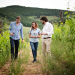 Montefioralle: Winery Tour and Wine Tasting - The Heart of the Experience: What You Can Expect