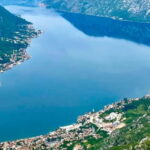 Montenegro: Njegui Pestingrad Peak Hiking Tour - The Natural Environment and Flora