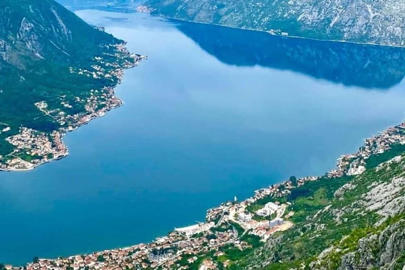 Montenegro: Njegui Pestingrad Peak Hiking Tour - The Natural Environment and Flora