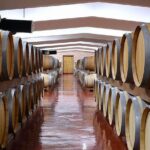 Montenegro wine tasting (Private tour) - Transportation and Logistics