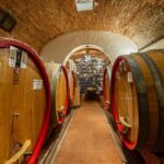Montepulciano: Guided Winery Tour with Tasting & Appetizers - What to Expect During the Tour