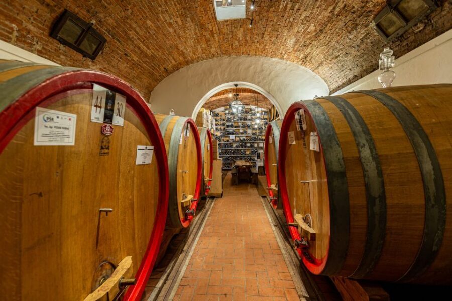 Montepulciano: Guided Winery Tour with Tasting & Appetizers - What to Expect During the Tour