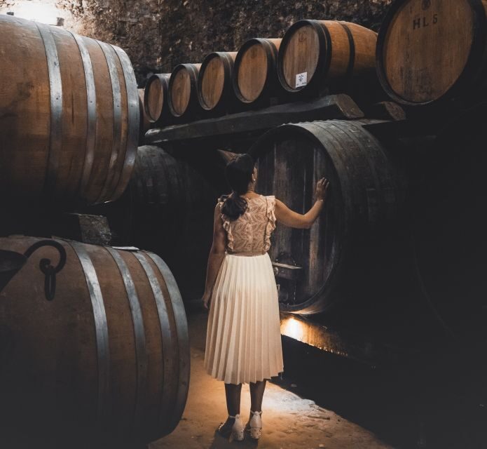 Montepulciano: Historical Cellars Guided Tour & Wine Tasting - The Experience: What You Can Expect