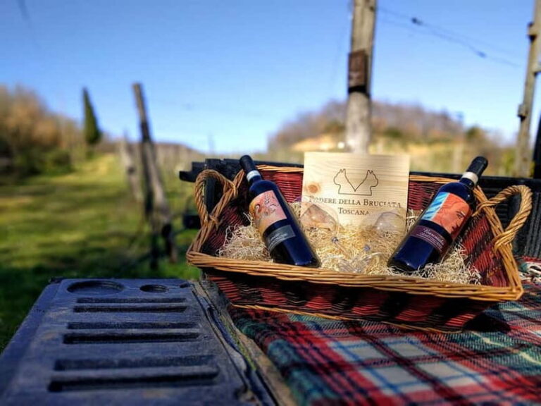 MONTEPULCIANO - PIC NIC WITH WINE! SURROUNDED BY VINEYARDS - What We Think About the Value