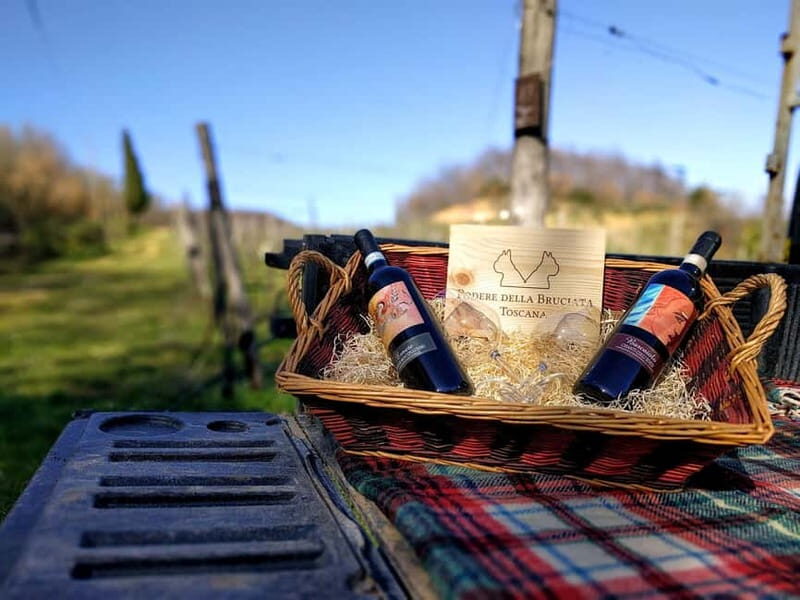 MONTEPULCIANO - PIC NIC WITH WINE! SURROUNDED BY VINEYARDS - What We Think About the Value