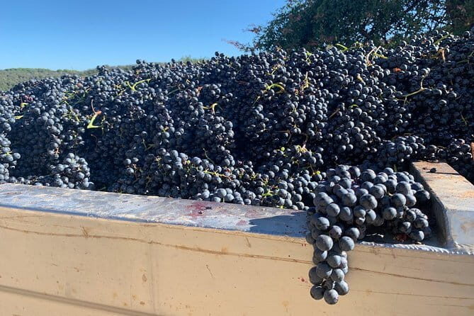 Montepulciano Pienza Montalcino Tour from Florence - Exploring the Itinerary in Detail