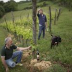 MONTEPULCIANO TASTE OF TUSCANY HEROIC WINES, CRU&LIMITED ED. - The Heart of the Experience: Wine Tasting and Exclusive Bottles