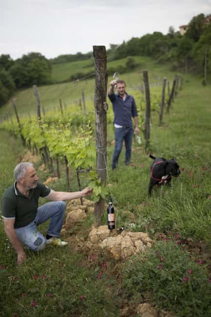 MONTEPULCIANO TASTE OF TUSCANY HEROIC WINES, CRU&LIMITED ED. - The Heart of the Experience: Wine Tasting and Exclusive Bottles